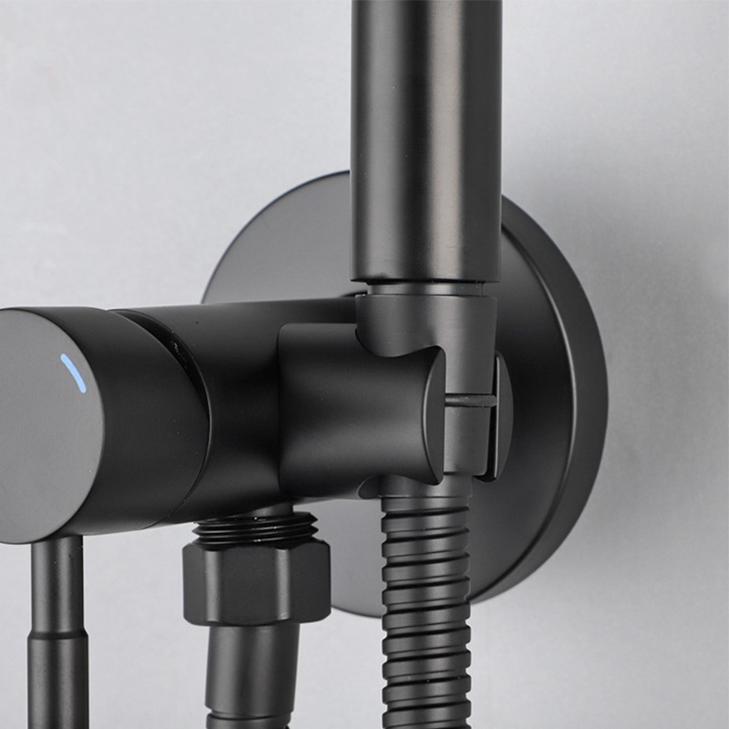 douchette en acier inoxydable luxe -Luminogreen