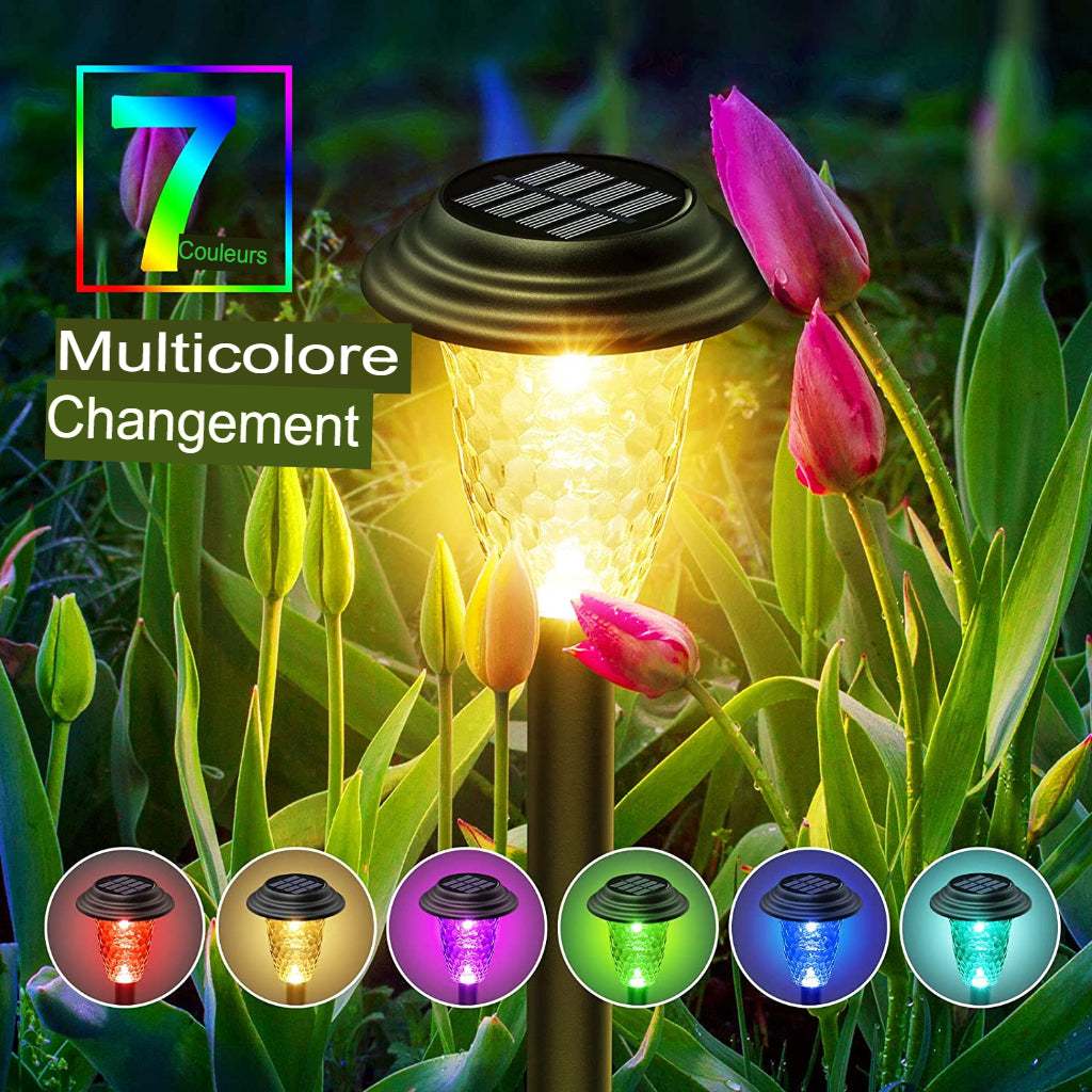 lampe solaire extérieur à LED de Jardin Solaire Multi couleur 8LED-Luminogreen
