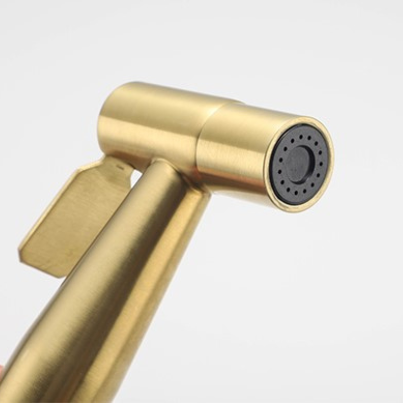 douchette en acier inoxydable luxe -Luminogreen