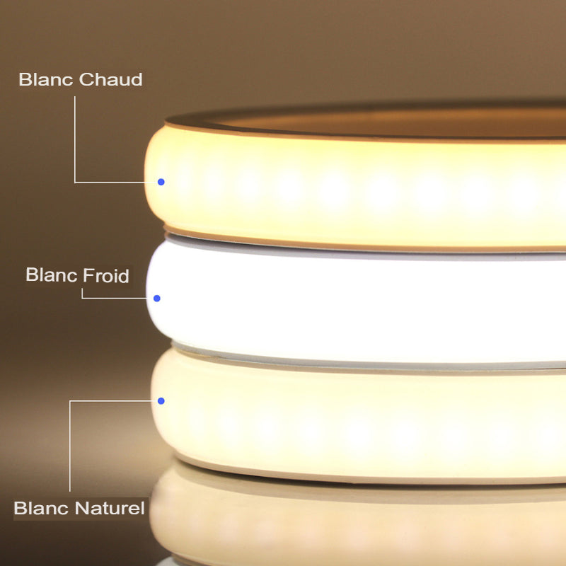 Ruban LED 220V COB, Wifi, Bluetooth, Flexible, 288-Luminogreen