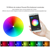 Projecteur led extérieur intélligent RGB Smart APP Contrôle Vocal avec sécurité avec ebook gratuit-Luminagreen