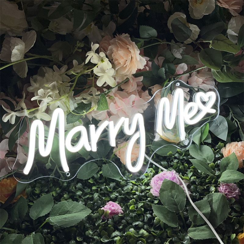 neon led Will You Marry Me, décoration de fête, enseigne de mariage Sûr et fiable-Luminogreen